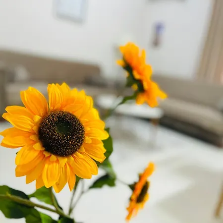 Appartement Albis 1 *